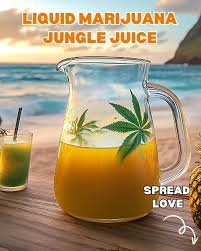 liquid marijuanas jungle juice​